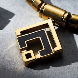 ゴールド×ブラック