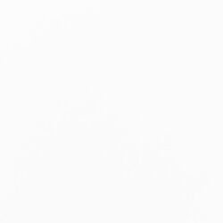 ホワイト×ホワイト