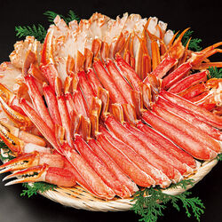 生食用 生ずわいハーフポーション 約2kg