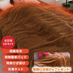 プレミアムホット吸湿発熱毛布4点セット
