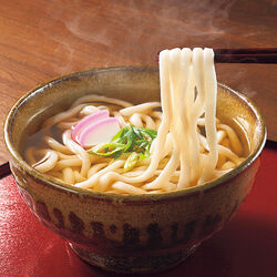 福岡県産小麦粉のうどん 24食セット