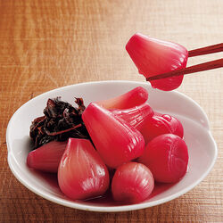 国産紫蘇らっきょう 9袋セット