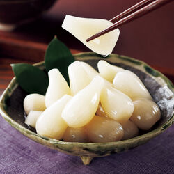 熟成甘らっきょう 9袋セット