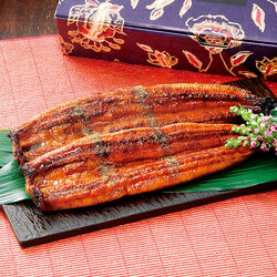 鰻楽 鰻蒲焼き 2尾セット