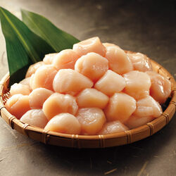 北海道産 ホタテ貝柱