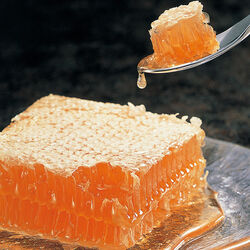 国産純粋 巣みつ