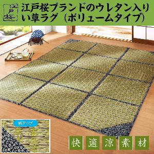 江戸桜い草アクセントラグ（ボリュームタイプ）