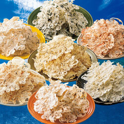 薄焼きちりめん