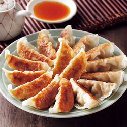 大阪王将 肉餃子（タレ付） 2袋セット