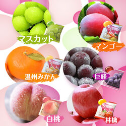 国産果汁蒟蒻ゼリー6種 計12袋セット