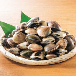 千葉県九十九里浜産はまぐり 2袋セット