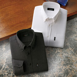 ピエルッチ ストライプ柄ダンディシャツ2色組